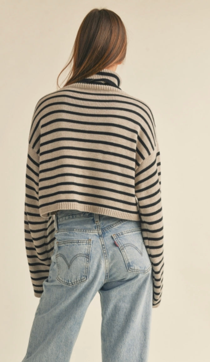 Stripped Turtle Neck Crop Sweater Top