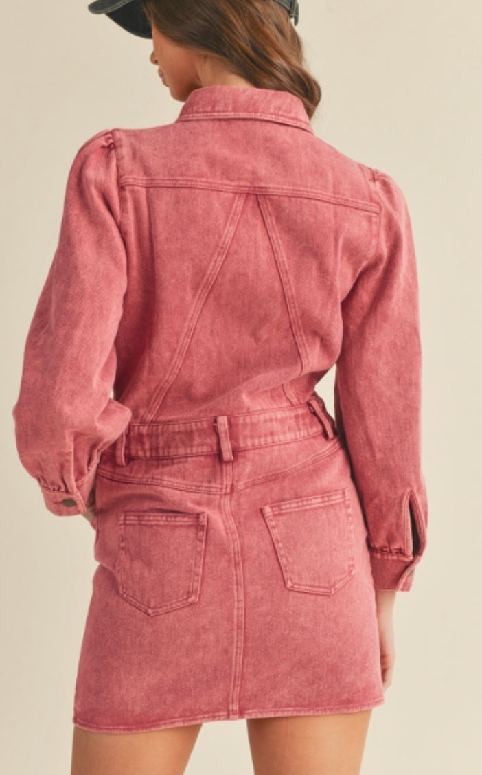 Berry Denim Dress