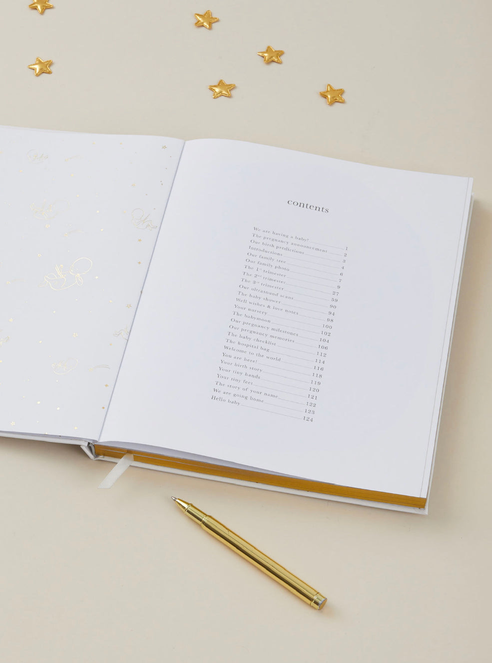My Pregnancy Journal - Safari with Gilded Edges