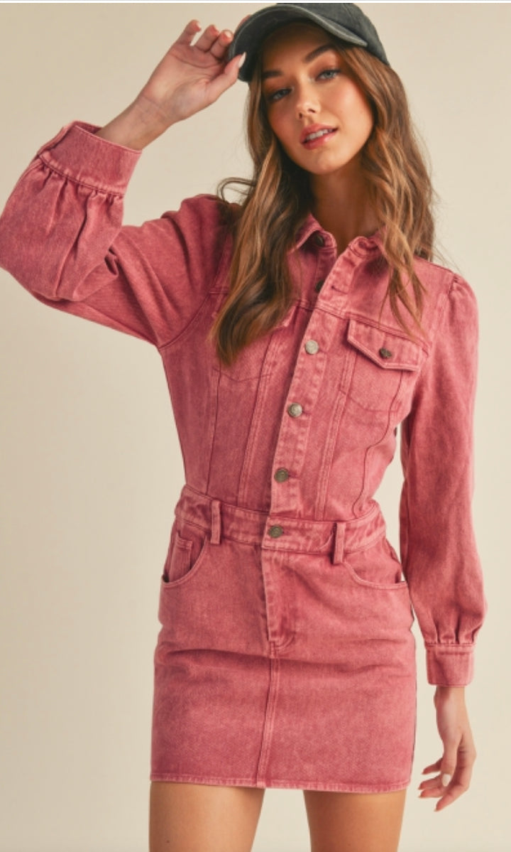 Berry Denim Dress