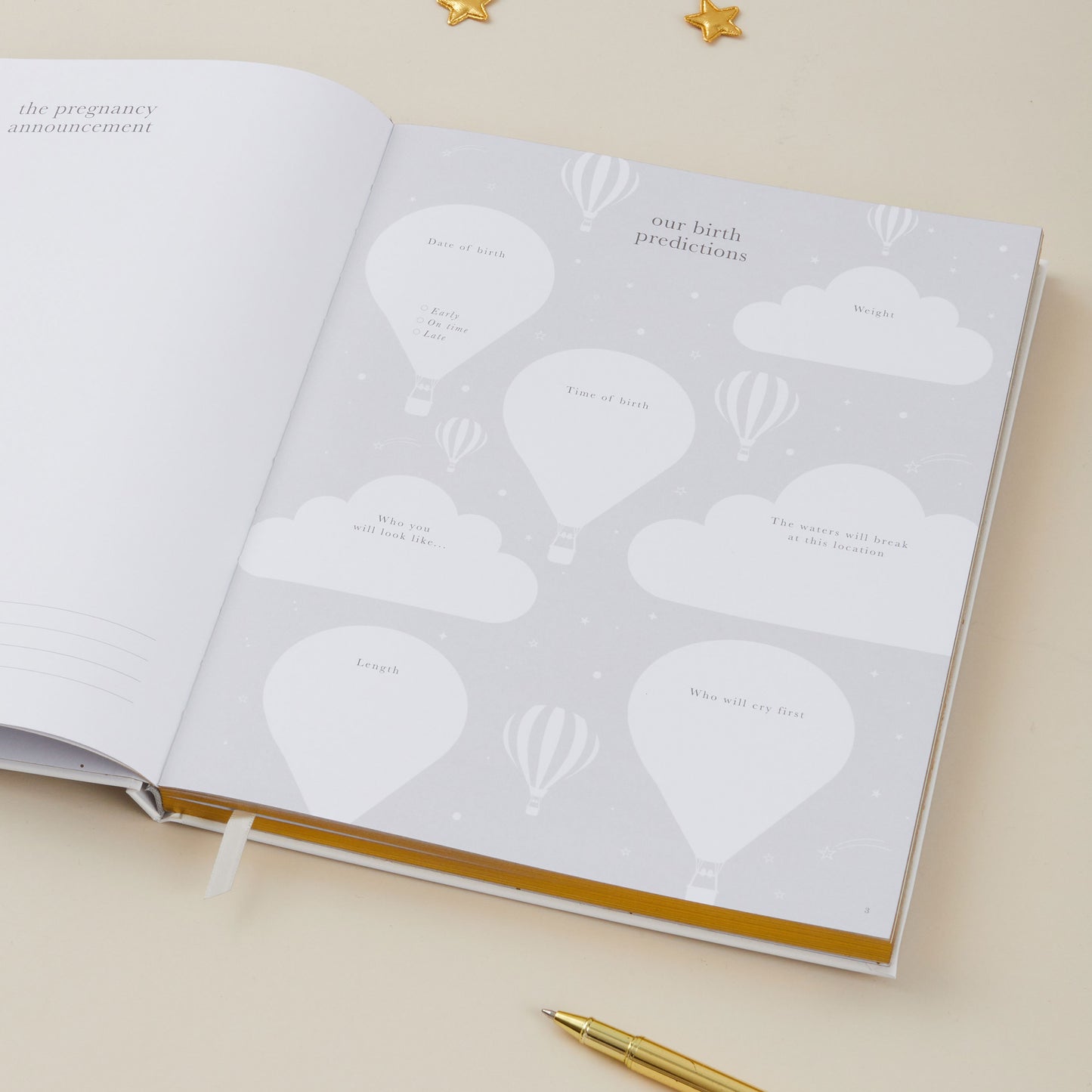 Pregnancy Journal (Grey)