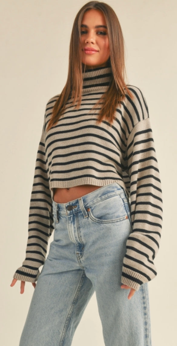 Stripped Turtle Neck Crop Sweater Top