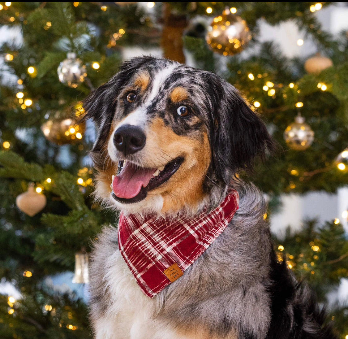 Marsala Plaid Flannel Dog Bandana