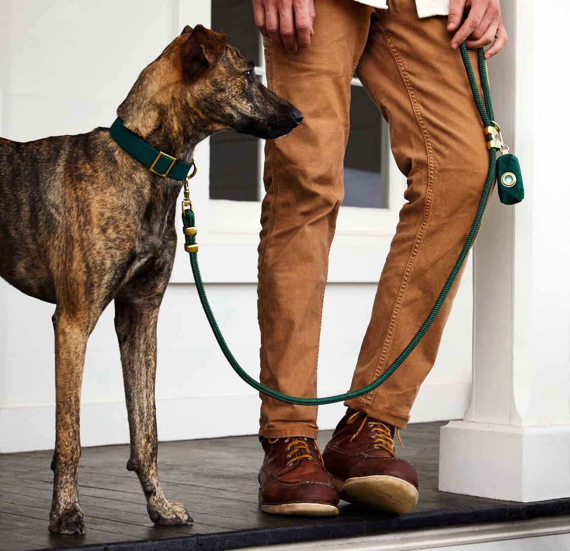 Evergreen Waxed Canvas Waste Dog Bag