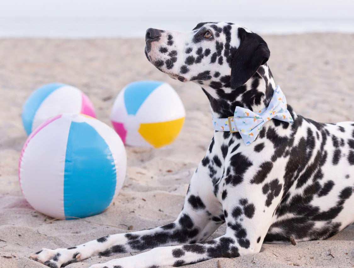 Beach Ball Bow Tie