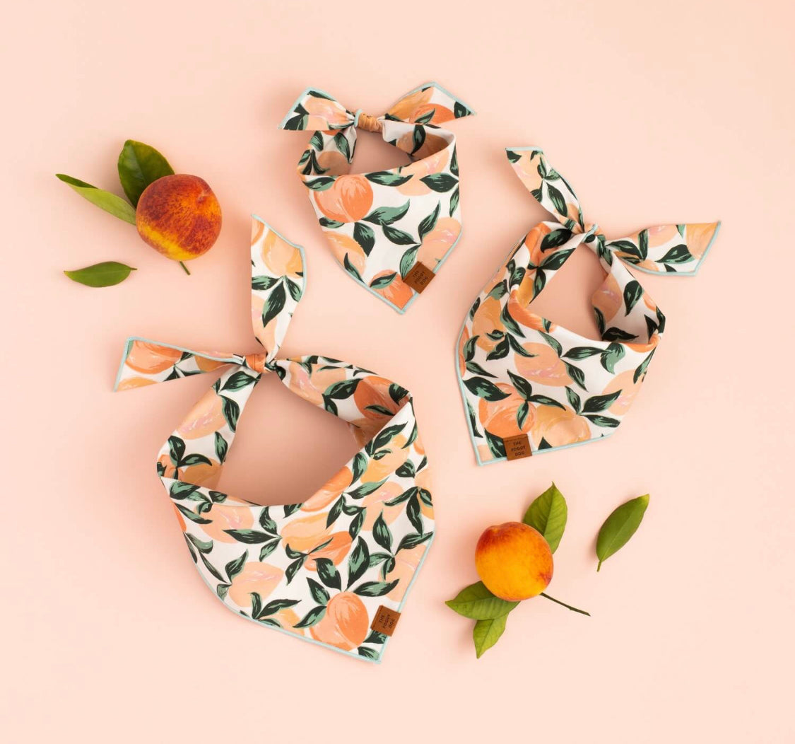 Peaches and Cream Dog Bandana