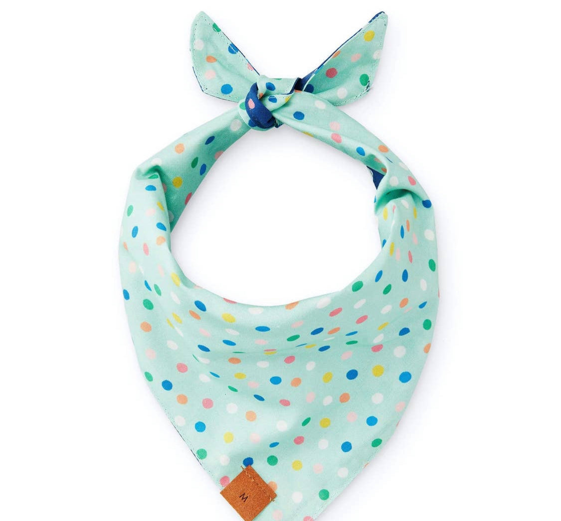 Birthday YAY Navy Dog Bandana