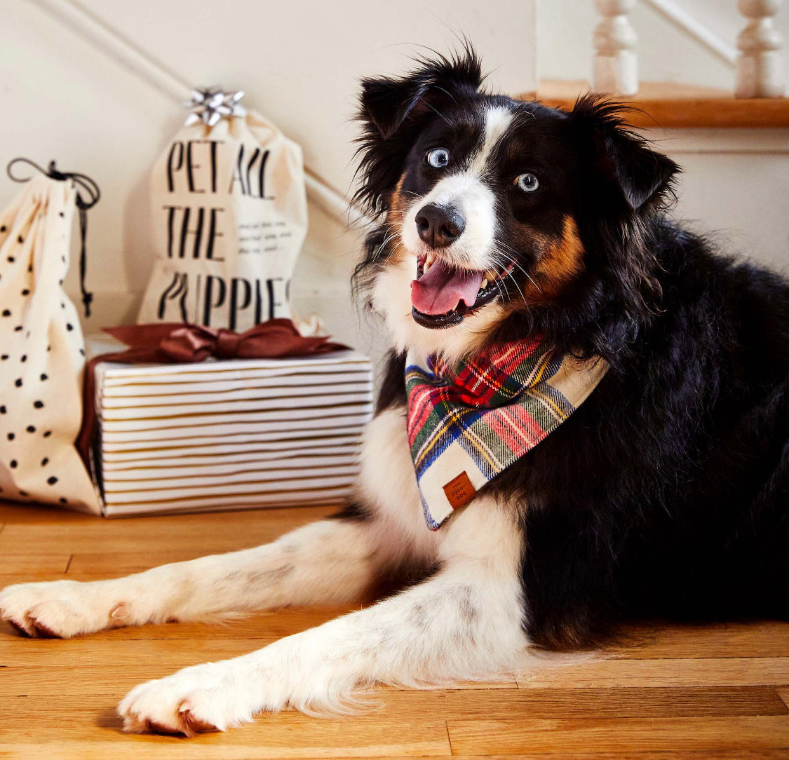 Regent Plaid Dog Bandana