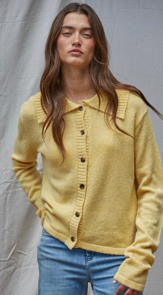 Lumi Collared Cardigan Top