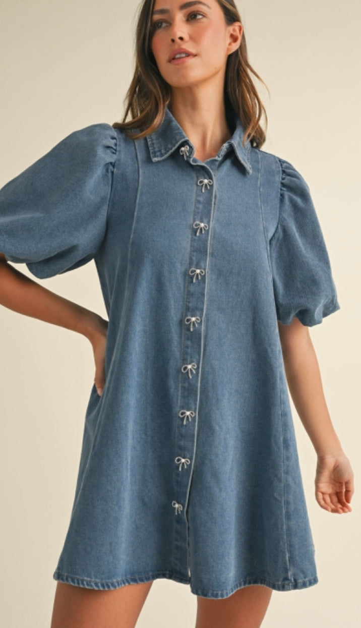 Jules Denim Dress