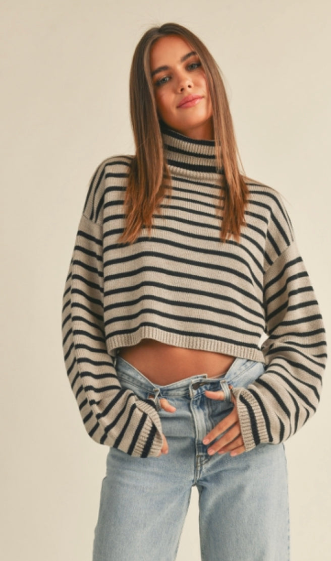 Stripped Turtle Neck Crop Sweater Top