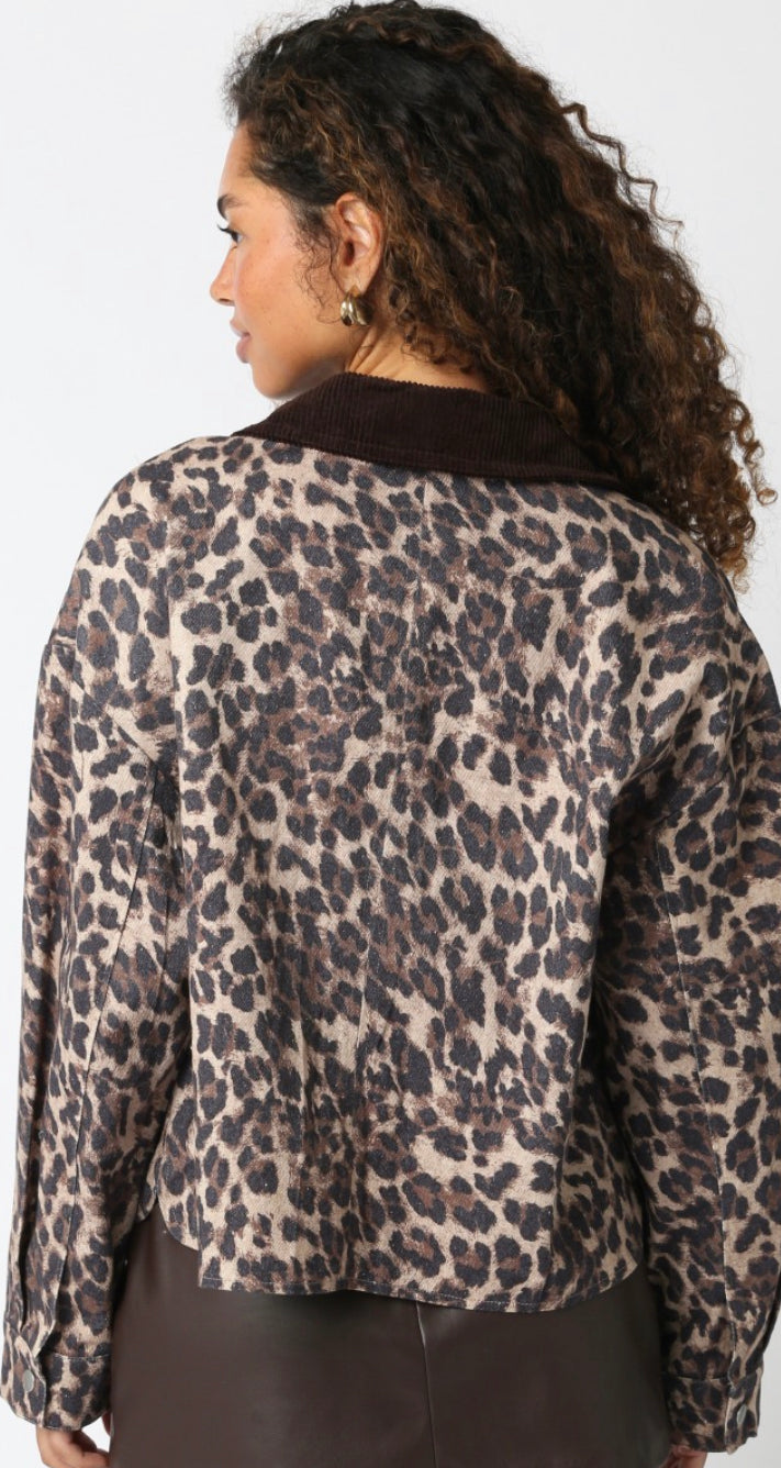 Leopard Coat