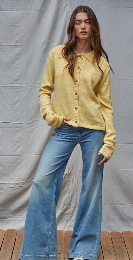 Lumi Collared Cardigan Top