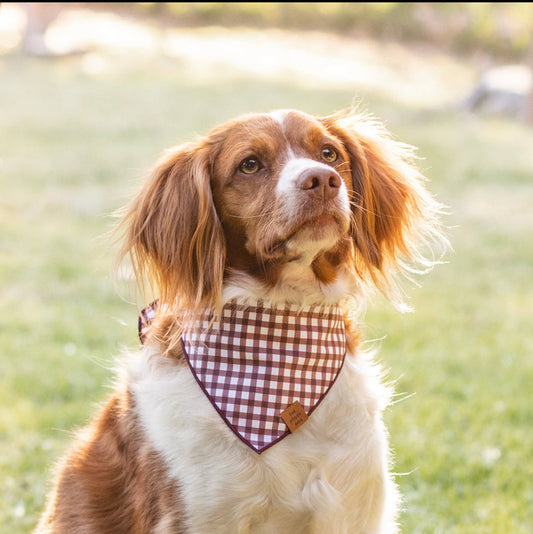 Russet gingham dog bandana